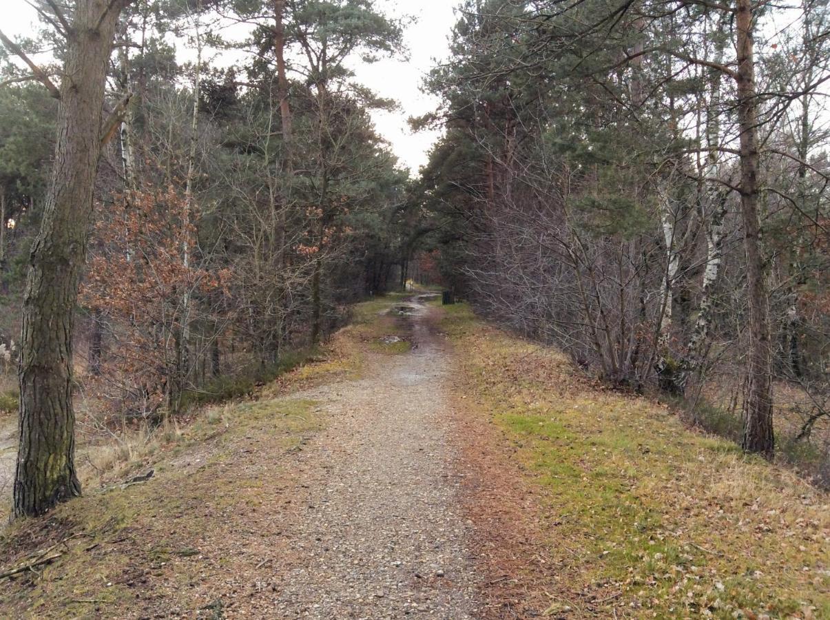 Acacia 1 Hengelhoef Aan de Wolfsberg Kültér fotó